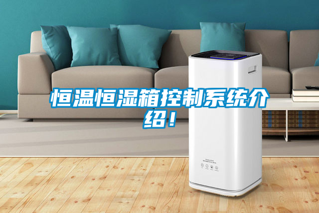 恒溫恒濕箱控製係統介紹！