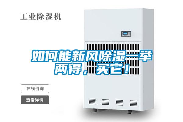 如何能新風91看片网站视频一舉兩得，買它！