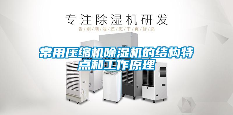 常用壓縮機91看片网站视频機的結構特點和工作原理