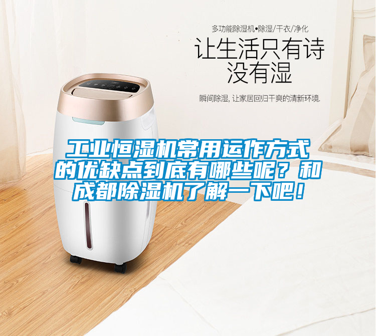 工業恒濕機常用運作方式的優缺點到底有哪些呢？和成都91看片网站视频機了解一下吧！