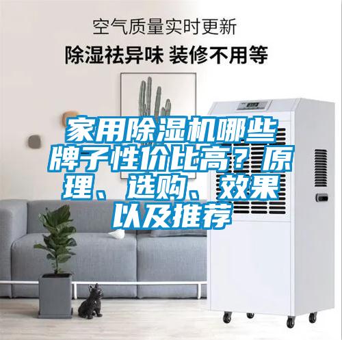 家用91看片网站视频機哪些牌子性價比高？原理、選購、效果以及推薦