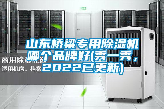 山東橋梁專用91看片网站视频機哪個品牌好(秀一秀，2022已更新)