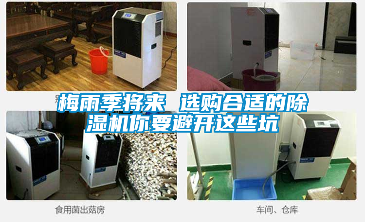 梅雨季將來 選購合適的91看片网站视频機你要避開這些坑