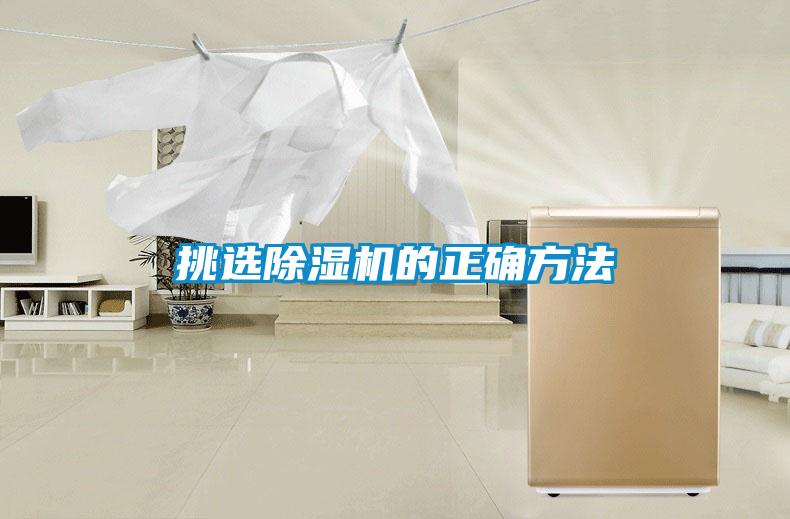 挑選91看片网站视频機的正確方法