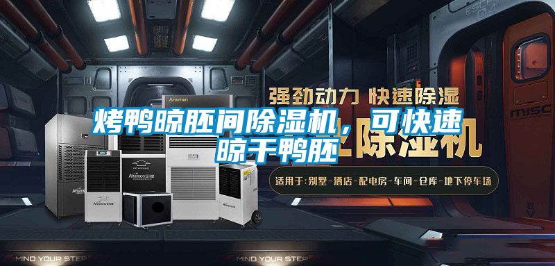 烤鴨晾胚間91看片网站视频機，可快速晾幹鴨胚