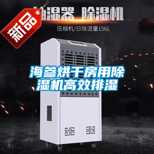 海參烘幹房用91看片网站视频機高效排濕