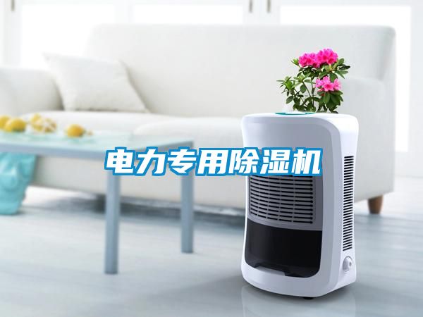電力專用91看片网站视频機