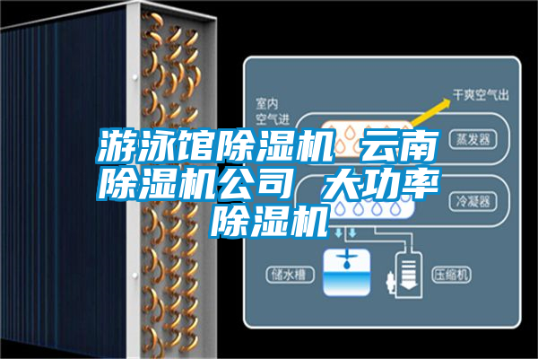 遊泳館91看片网站视频機 雲南91看片网站视频機公司 大功率91看片网站视频機