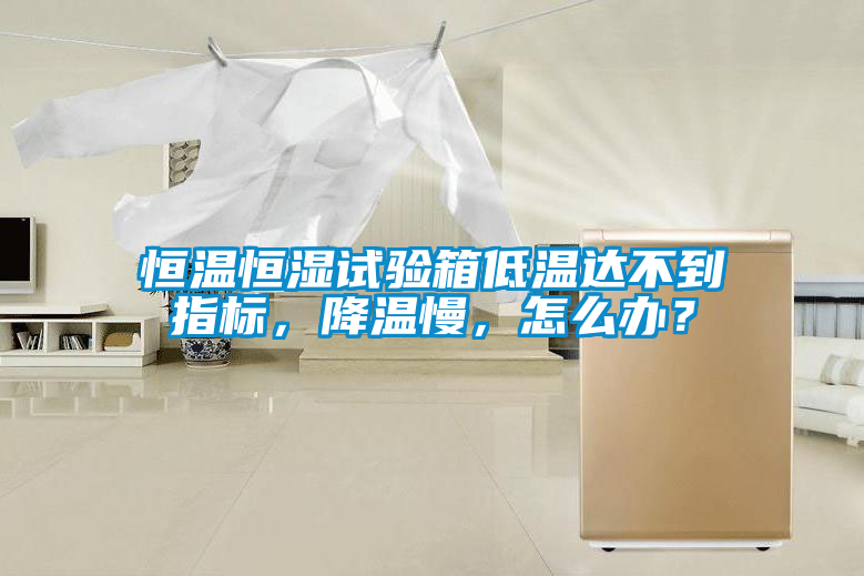 恒溫恒濕試驗箱低溫達不到指標，降溫慢，怎麽辦？