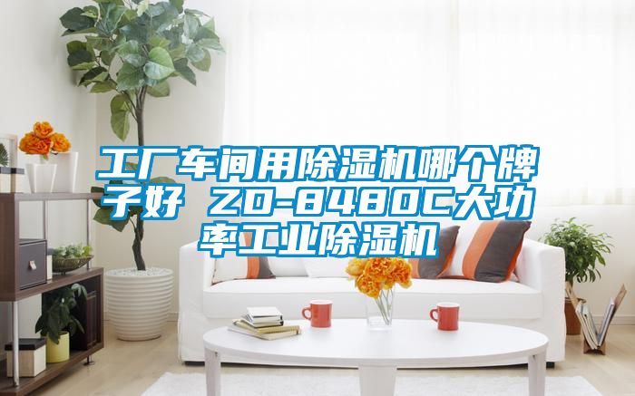 工廠車間用91看片网站视频機哪個牌子好 ZD-8480C大功率工業91看片网站视频機