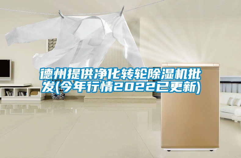 德州提供淨化轉輪91看片网站视频機批發(今年行情2022已更新)