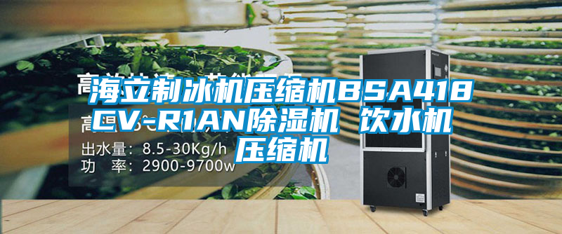 海立製冰機壓縮機BSA418CV-R1AN91看片网站视频機 飲水機 壓縮機