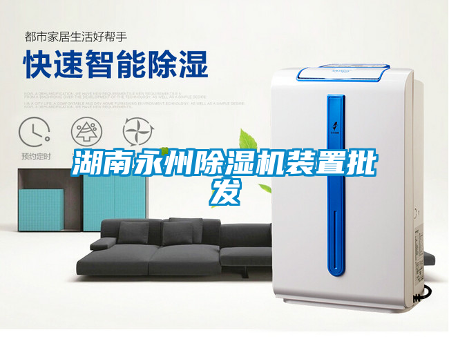 湖南永州91看片网站视频機裝置批發