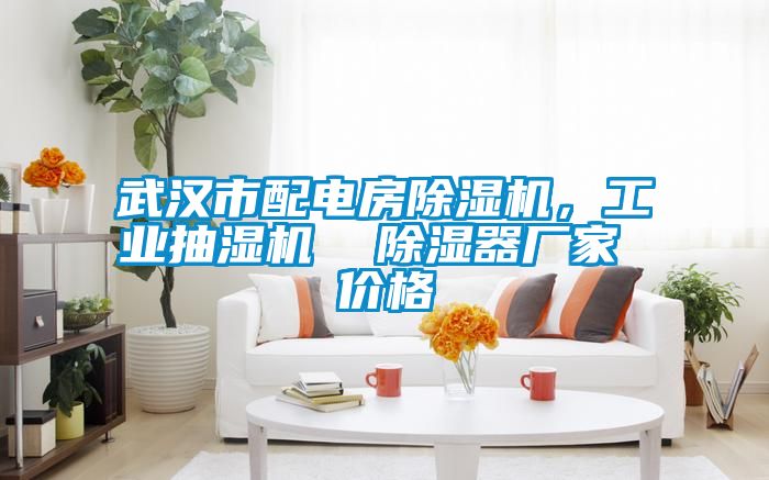 武漢市配電房91看片网站视频機，工業抽濕機  91看片网站视频器廠家 價格