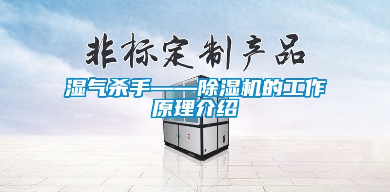 濕氣殺手——91看片网站视频機的工作原理介紹