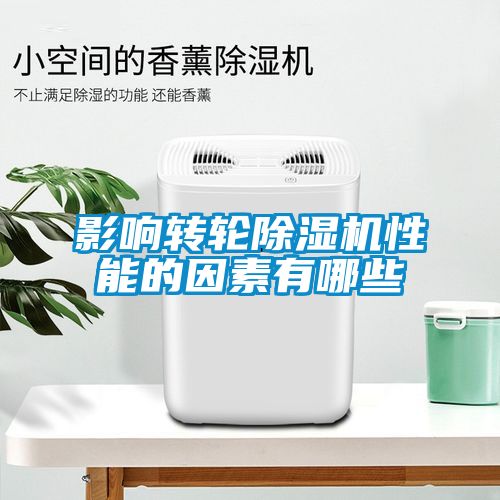 影響轉輪91看片网站视频機性能的因素有哪些