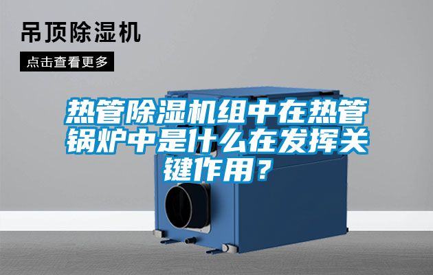 熱管91看片网站视频機組中在熱管鍋爐中是什麽在發揮關鍵作用？