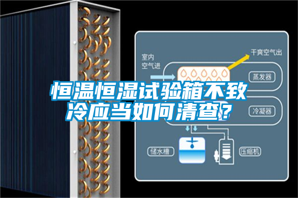恒溫恒濕試驗箱不致冷應當如何清查？
