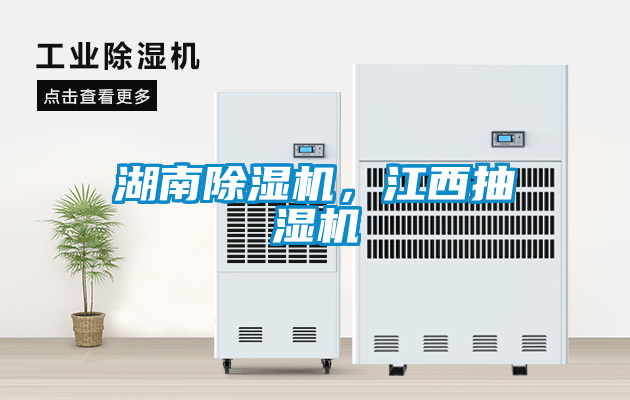 湖南91看片网站视频機，江西抽濕機