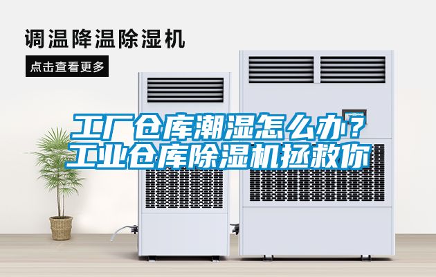 工廠倉庫潮濕怎麽辦？工業倉庫91看片网站视频機拯救你