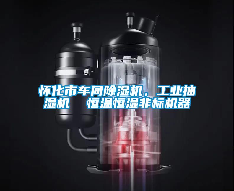 懷化市車間91看片网站视频機，工業抽濕機  恒溫恒濕非標機器
