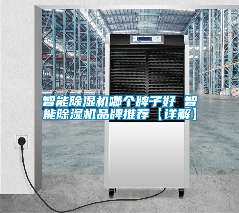 智能91看片网站视频機哪個牌子好 智能91看片网站视频機品牌推薦【詳解】