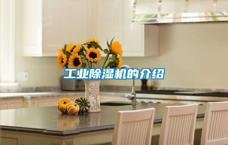 工業91看片网站视频機的介紹