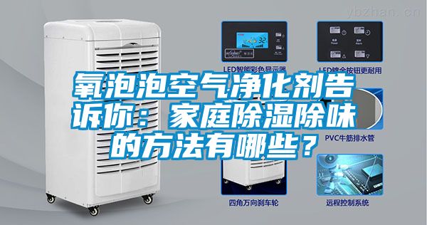 氧泡泡空氣淨化劑告訴你：家庭91看片网站视频除味的方法有哪些？