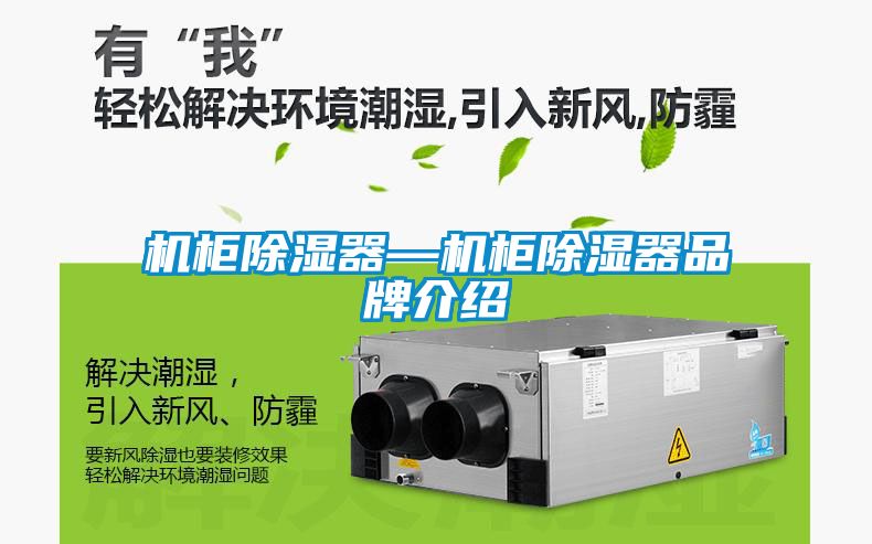機櫃91看片网站视频器—機櫃91看片网站视频器品牌介紹