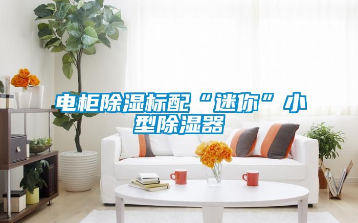電櫃91看片网站视频標配“迷你”小型91看片网站视频器