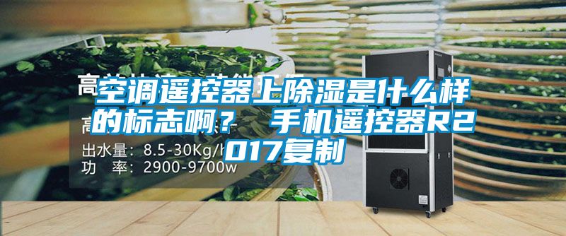 空調遙控器上91看片网站视频是什麽樣的標誌啊？ 手機遙控器R2017複製