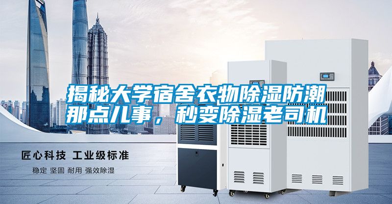揭秘大學宿舍衣物91看片网站视频防潮那點兒事，秒變91看片网站视频老司機