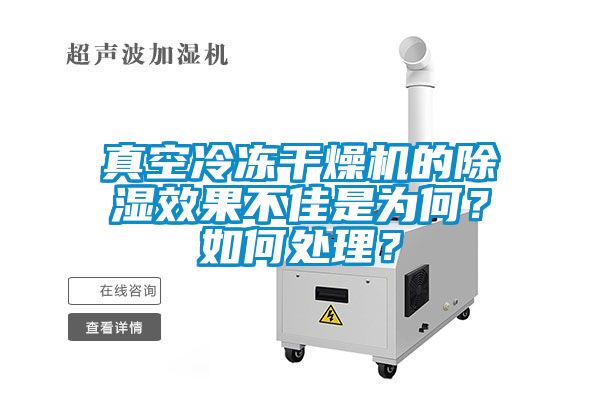 真空冷凍幹燥機的91看片网站视频效果不佳是為何？如何處理？