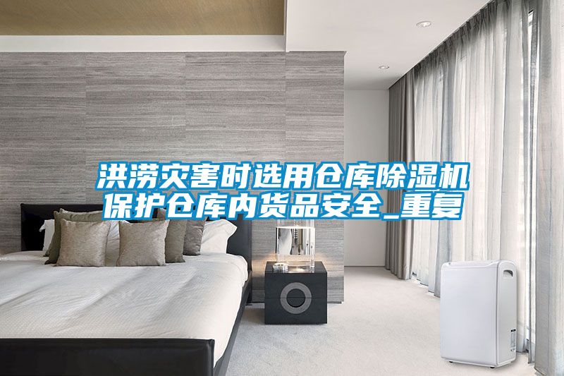 洪澇災害時選用倉庫91看片网站视频機保護倉庫內貨品安全_重複