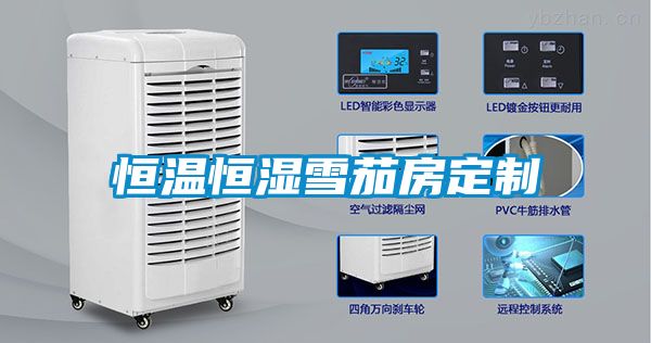 恒溫恒濕雪茄房定製