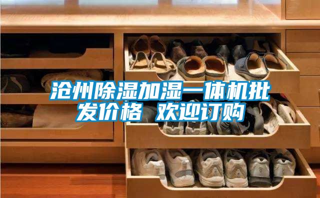 滄州91看片网站视频加濕一體機批發價格 歡迎訂購