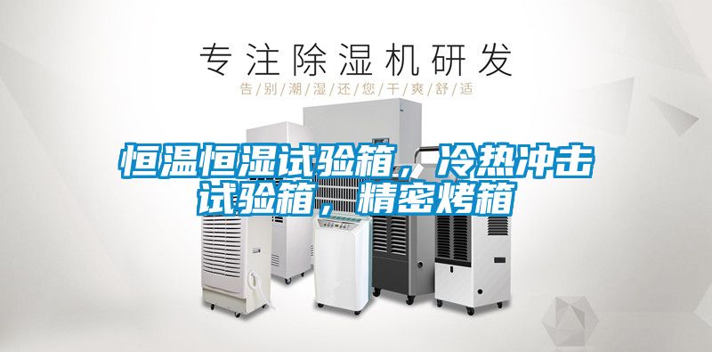 恒溫恒濕試驗箱，冷熱衝擊試驗箱，精密烤箱