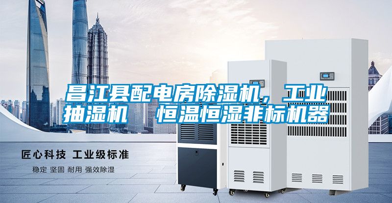 昌江縣配電房91看片网站视频機，工業抽濕機  恒溫恒濕非標機器