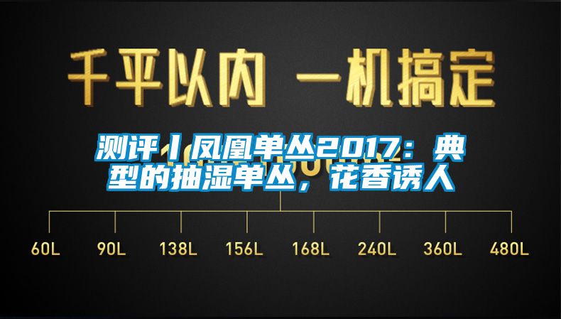 測評丨鳳凰單叢2017：典型的抽濕單叢，花香誘人