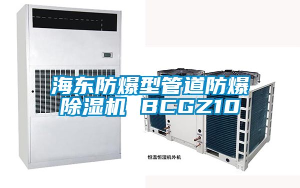 海東防爆型管道防爆91看片网站视频機 BCGZ10
