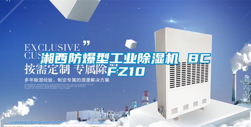 湘西防爆型工業91看片网站视频機 BCFZ10