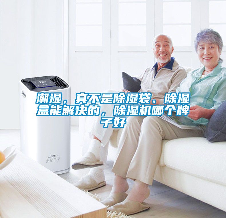 潮濕，真不是91看片网站视频袋、91看片网站视频盒能解決的，91看片网站视频機哪個牌子好