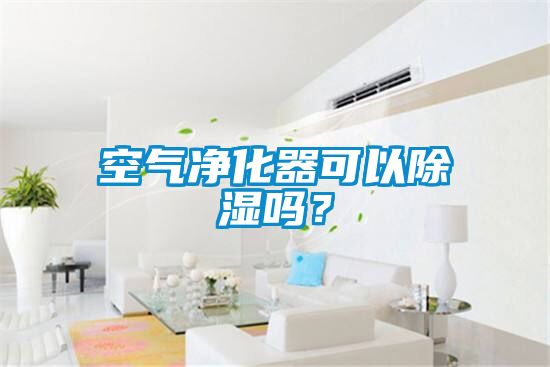 空氣淨化器可以91看片网站视频嗎？