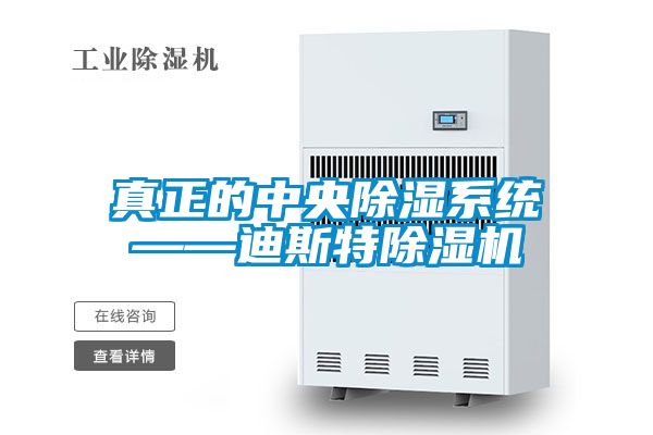 真正的中央91看片网站视频係統——迪斯特91看片网站视频機