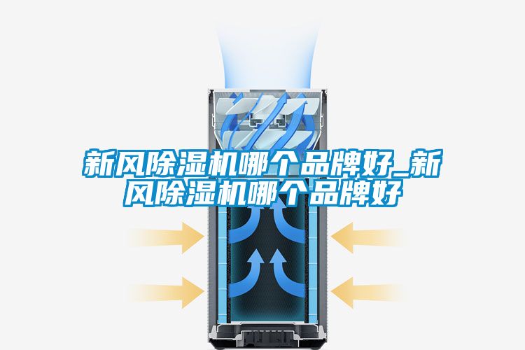 新風91看片网站视频機哪個品牌好_新風91看片网站视频機哪個品牌好
