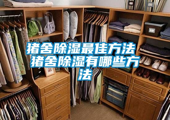 豬舍91看片网站视频最佳方法 豬舍91看片网站视频有哪些方法