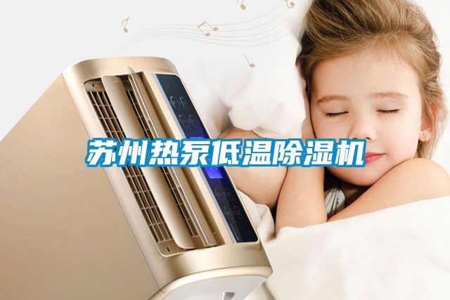 蘇州熱泵低溫91看片网站视频機
