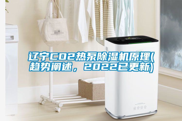 遼寧CO2熱泵91看片网站视频機原理(趨勢闡述，2022已更新)