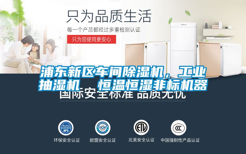 浦東新區車間91看片网站视频機，工業抽濕機  恒溫恒濕非標機器