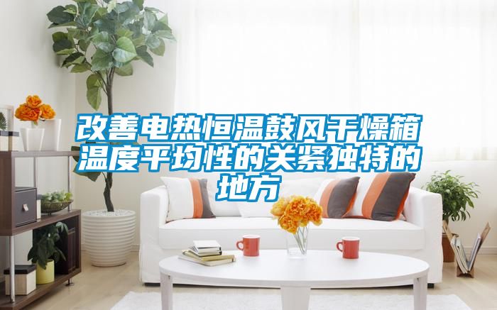 改善電熱恒溫鼓風幹燥箱溫度平均性的關緊獨特的地方
